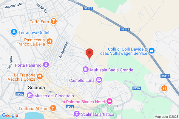 Noleggio Bus D'Amico