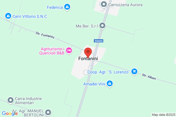 Ciobani Raimondo