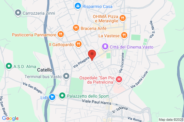 Ronzitti maurizio