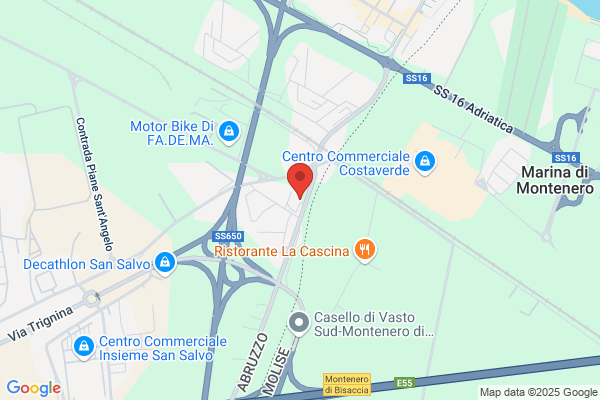 RSA/RA San Vitale - Gruppo La Villa