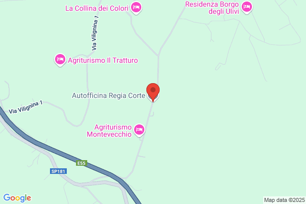 Regiacorte luigi