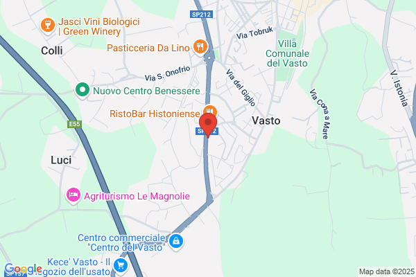 Palestra Gymnica italo (Prof.)