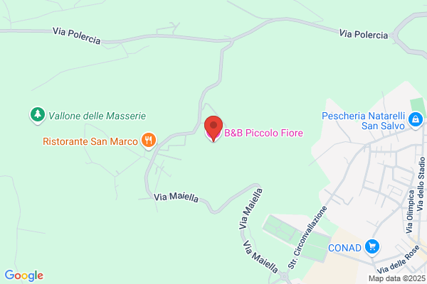Fiore Antonio