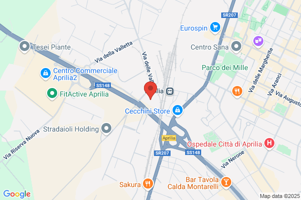 Nuova Italcarni Srl
