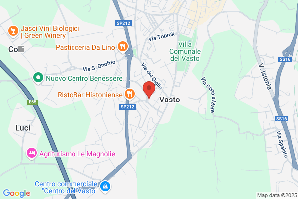 Vasto Servizi