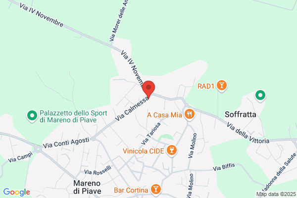 Bon Carlo Sante