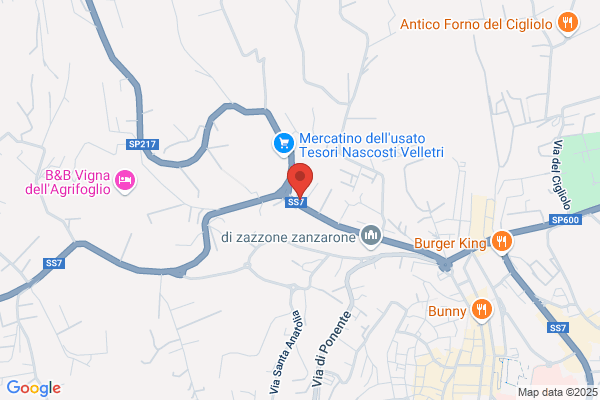 Lodise francesco