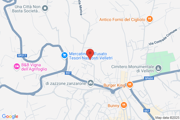 Istituto Don Orione
