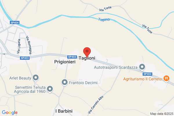 Taglioni riccardo