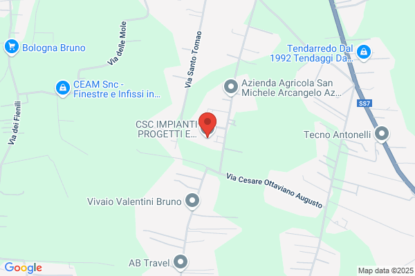 Vicario costanzo (Geom.)