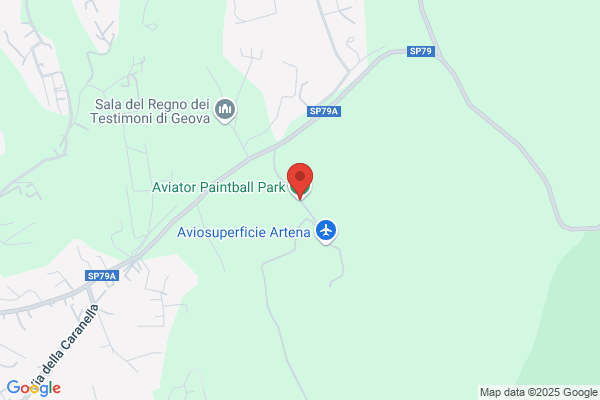 Aviator Paintball Park
