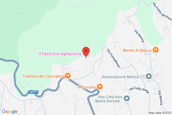 Falco Ermenegildo