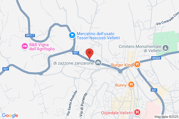 Vic Srl