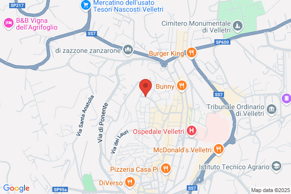 Pia Casa Di Carita Di Velletri