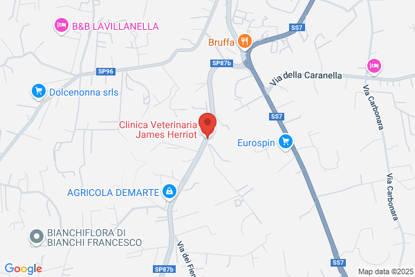 Clinica Veterinaria James Herriot