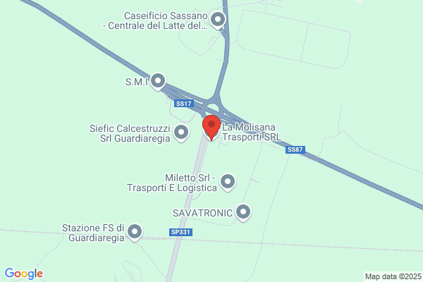 Molisana Trasporti Srl