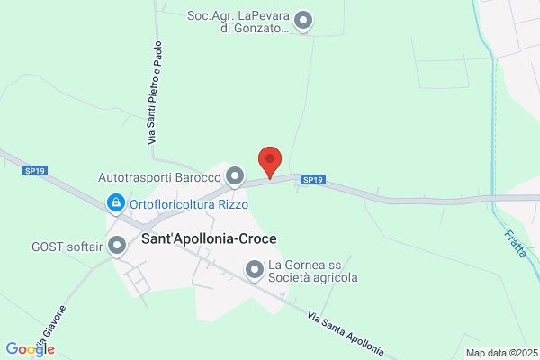 Meneguzzo apollonia