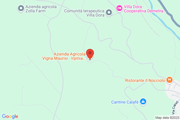 Azienda Agricola Vigna Maurisi