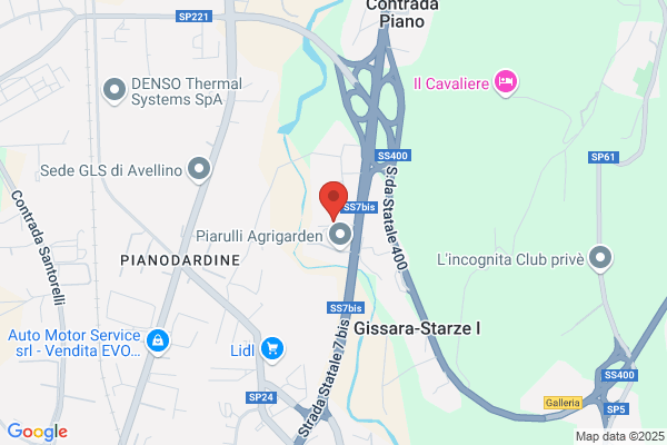 Palmieri