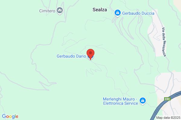 Gerbaudo Dario