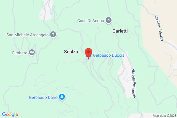 Gerbaudo Egidio