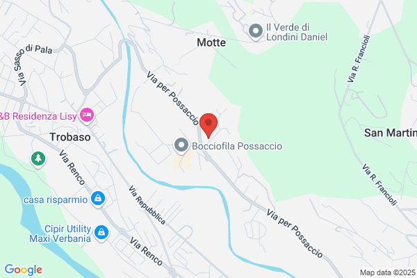 Ravicini marco