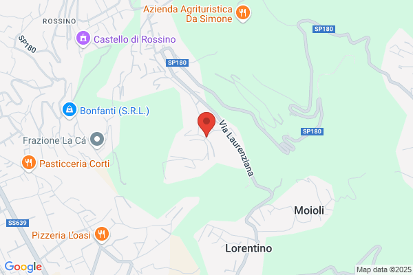 Lario Di Bolis Aurelio E C. (S.A.S.)