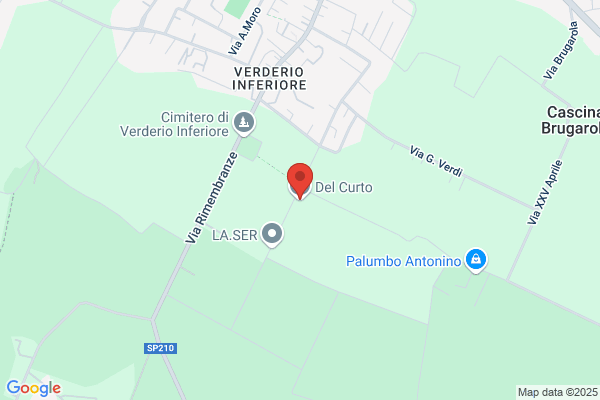 Del Curto