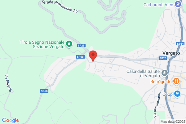 Pedrini nicola (Geom.)