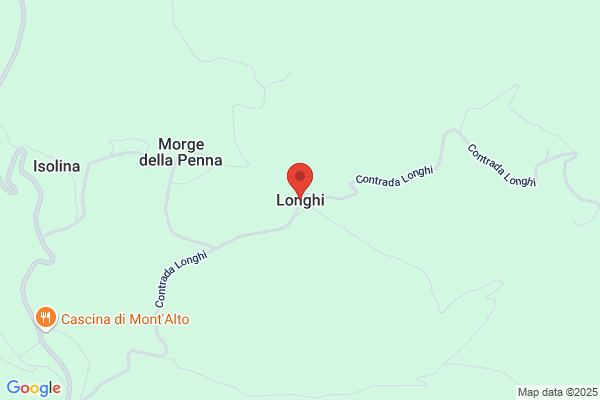 Longhi gino