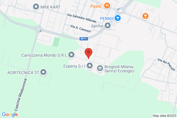 Montani maurizio
