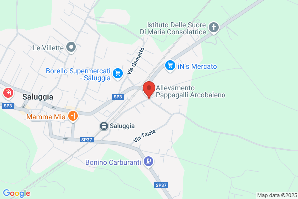 Camut  Rettificatrici