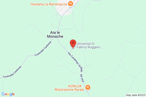 Puleggi rino