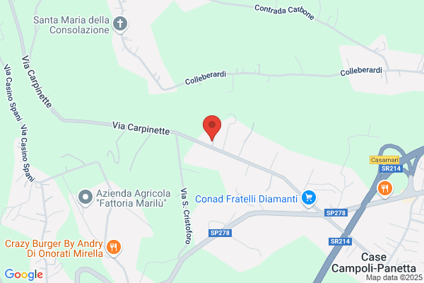 Mazzoli concetta