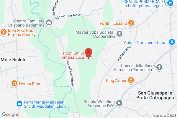 Ticonium Di Fontana Luca