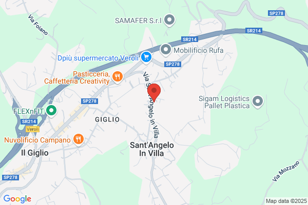Cap Autotrasporti Di Carnevale Mario