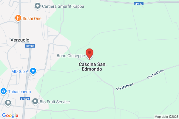 Foco Giuseppe (Dr.)