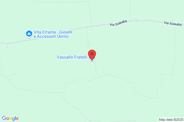 Vassallo vincenzo