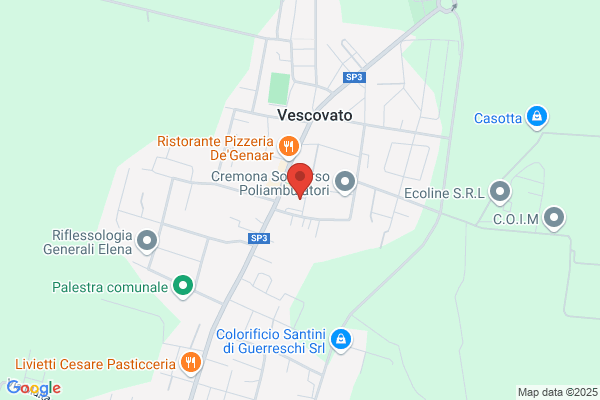 Il Pungitopo