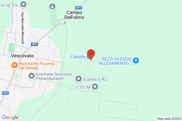 Masaracchia silvia