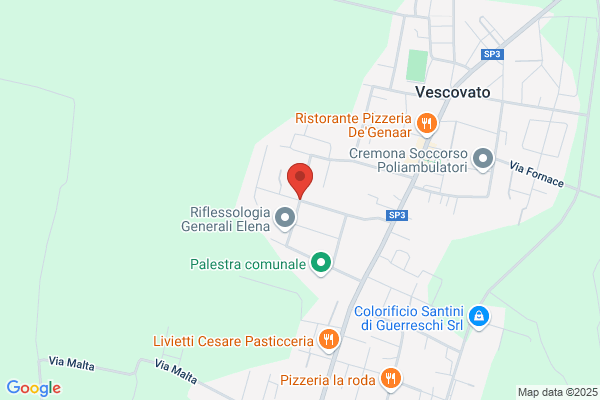 Vittori daniele