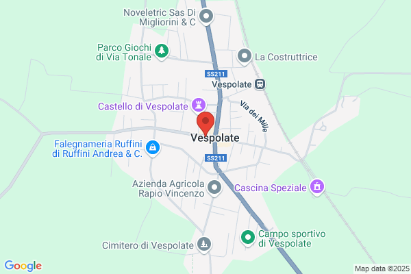 Vincenzi francesca