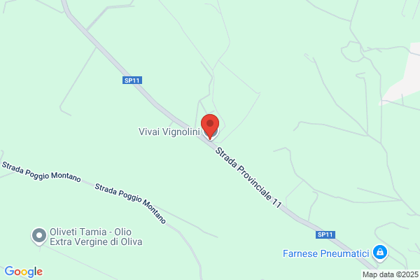 Azienda Agricola Vivai Vignolini