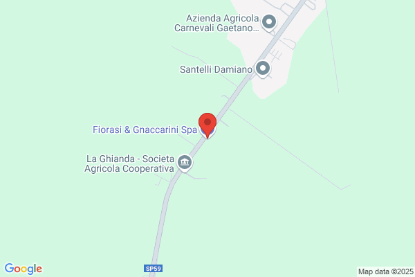 Fiorasi E Gnaccarini Srl