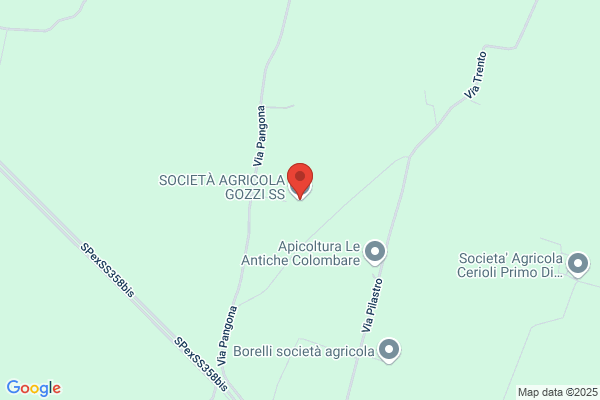 Gozzi Franco