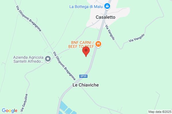 Impresa Edile Borelli Ottorino e C.