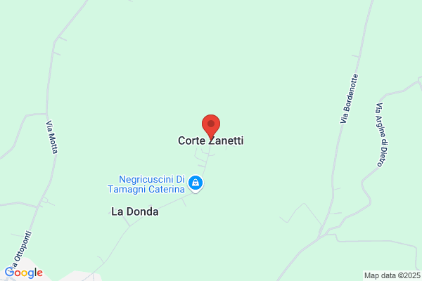 Zanetti bruno