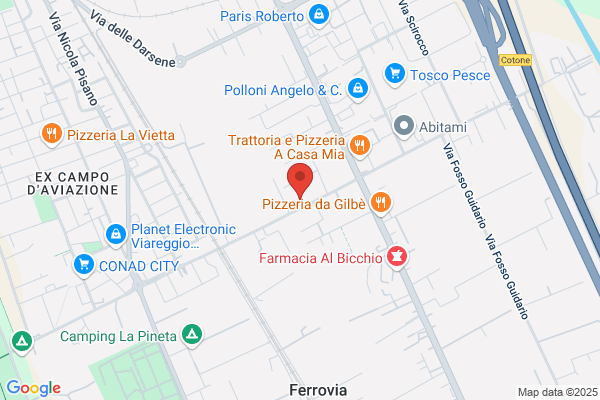 Societa Ippica Viareggina