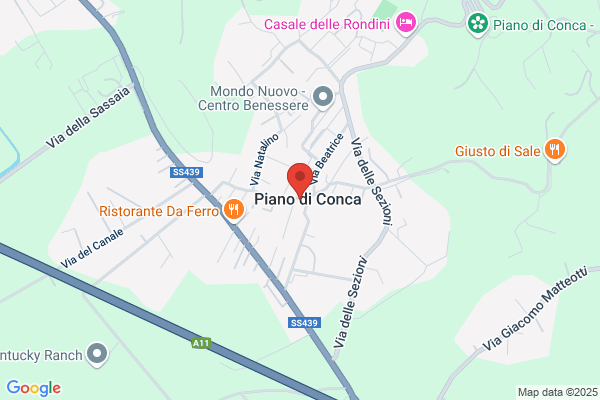 Viola Club - Stella Della Versilia
