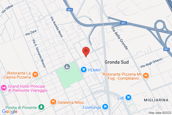 Landi Massimo (Dr.)